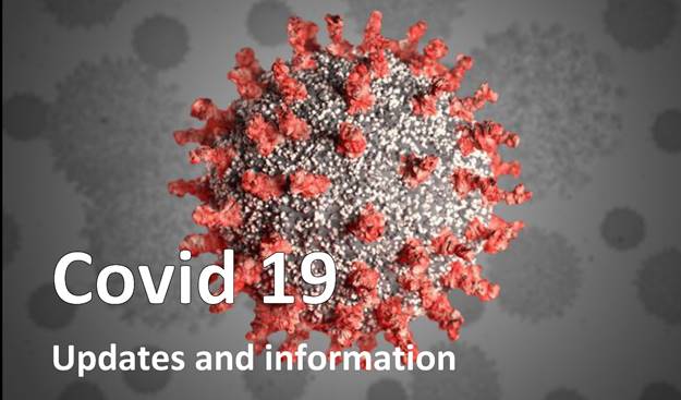 A close up of a flower

Description automatically generated