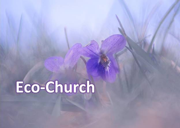 A close up of a flower

Description automatically generated with medium confidence