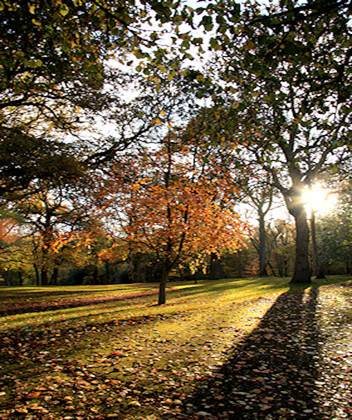 Description: Description: http://www.english-country-garden.com/photo-galleries/scenery/thumbs/autumn-2.jpg